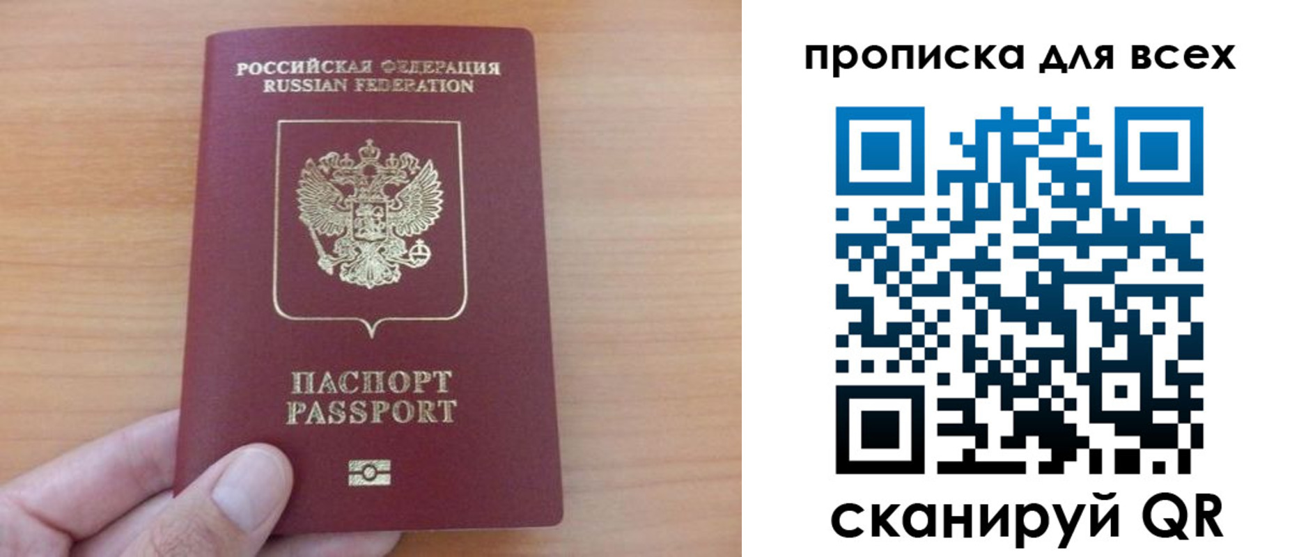 прописка поиск в Заинске
